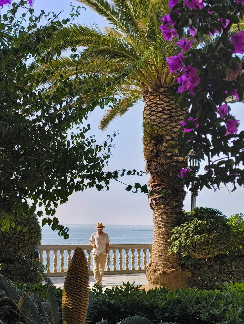 Bougainvillea, palm tree and sea in southern Spain